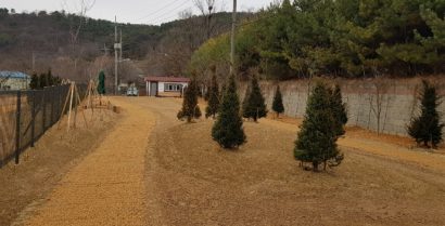 김포시, 하성근린공원 내 ‘반려동물 전용공원’ 조성 완료…내년 3월 개방